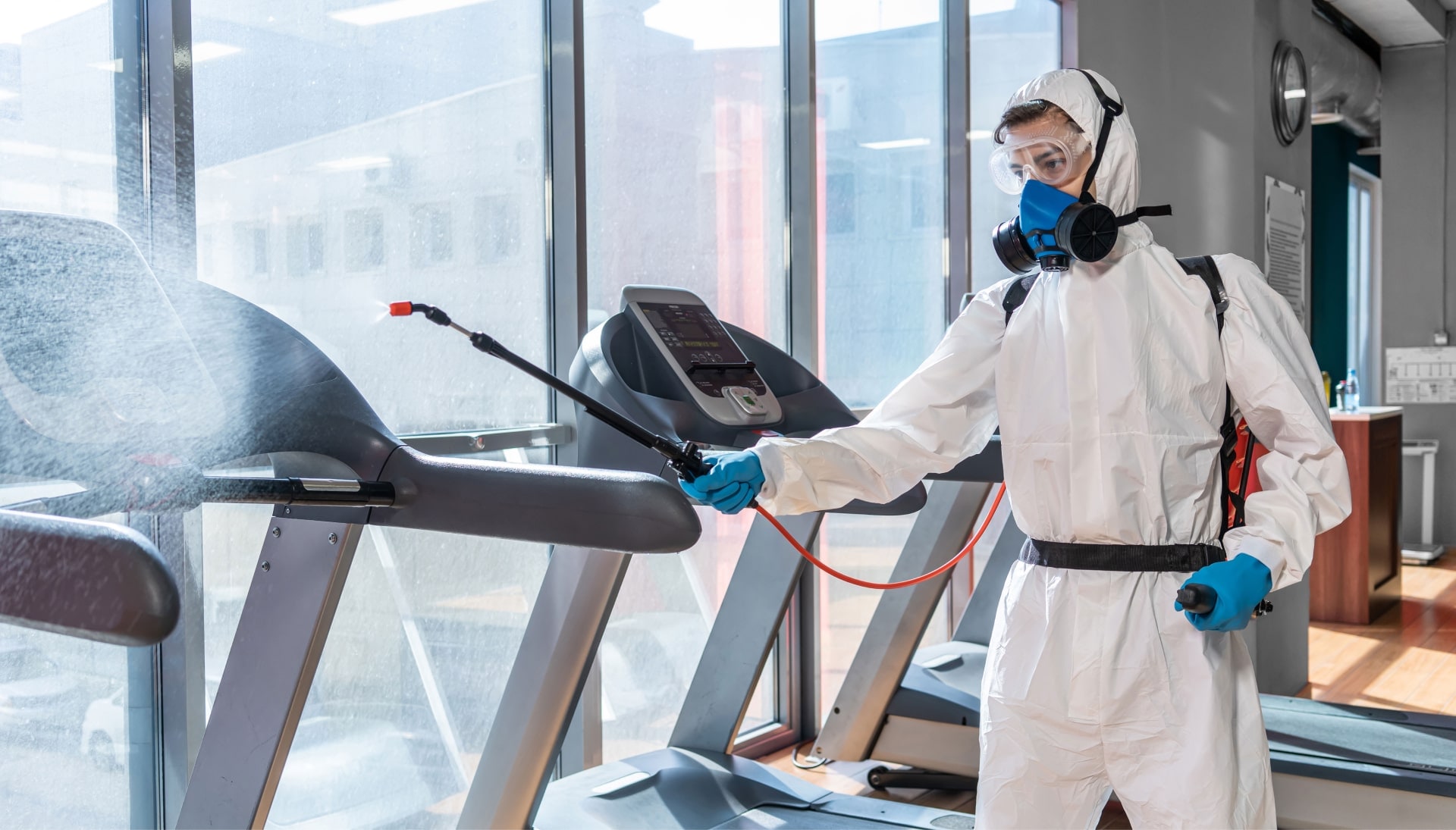 Commercial Mold Removal Services in Boise