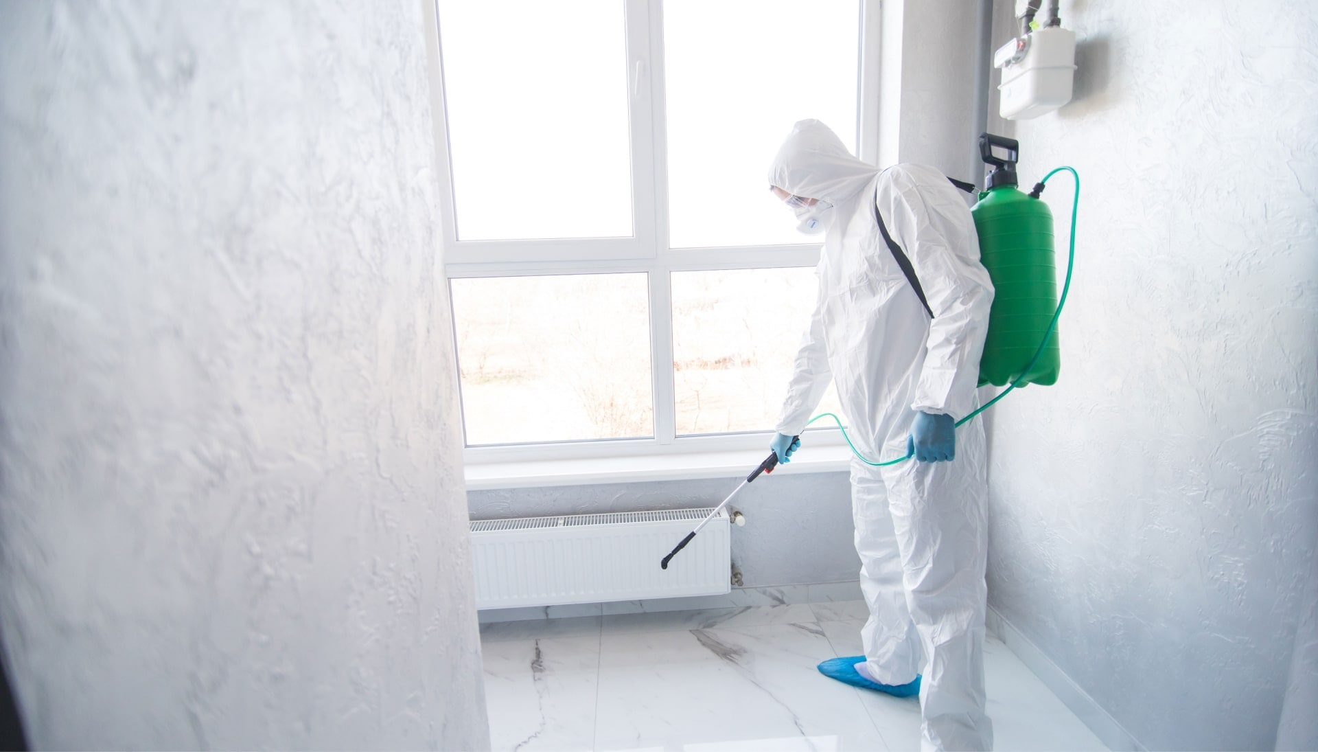 Mold Inspection Services in Boise